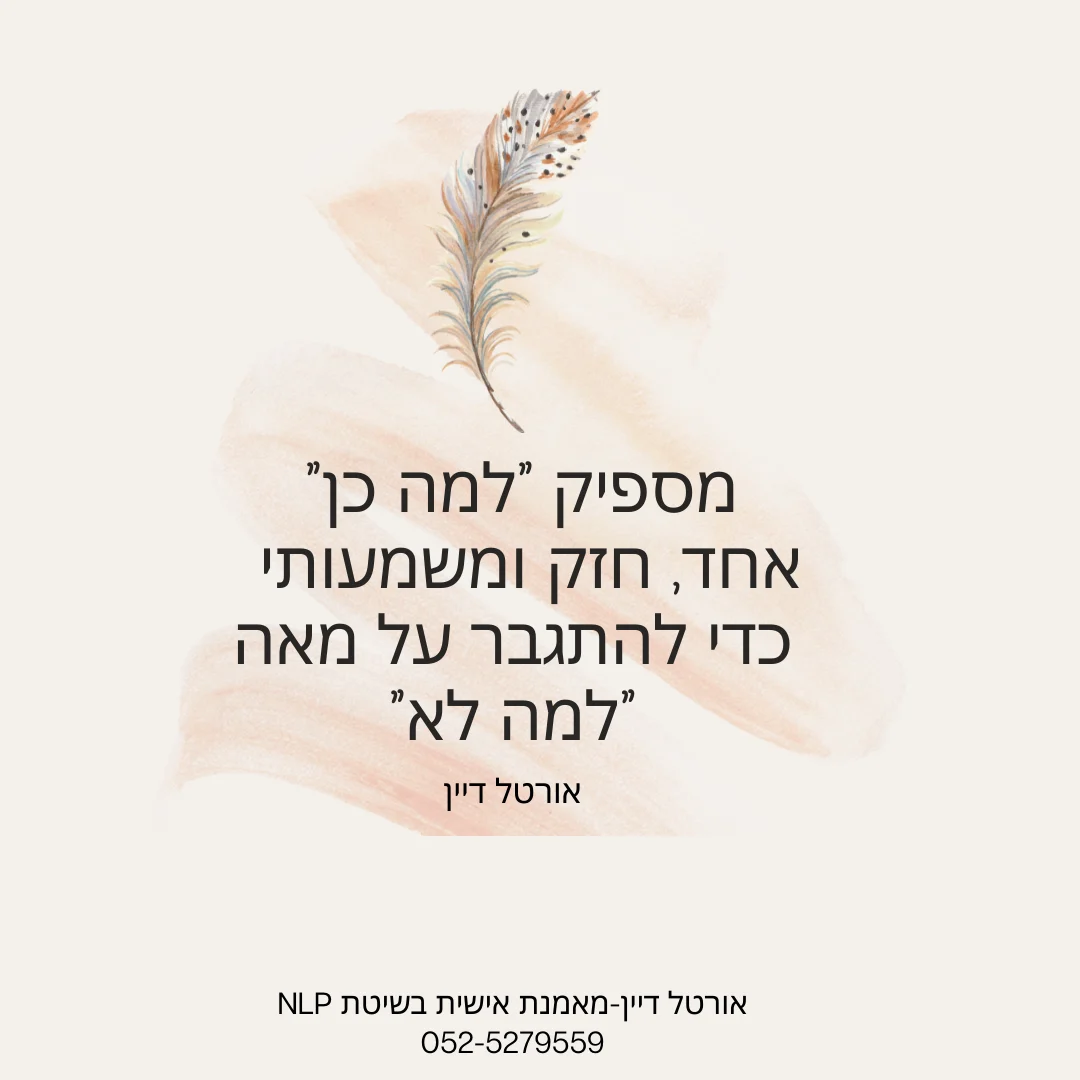 משפטי מוטיבציה של אורטל דיין