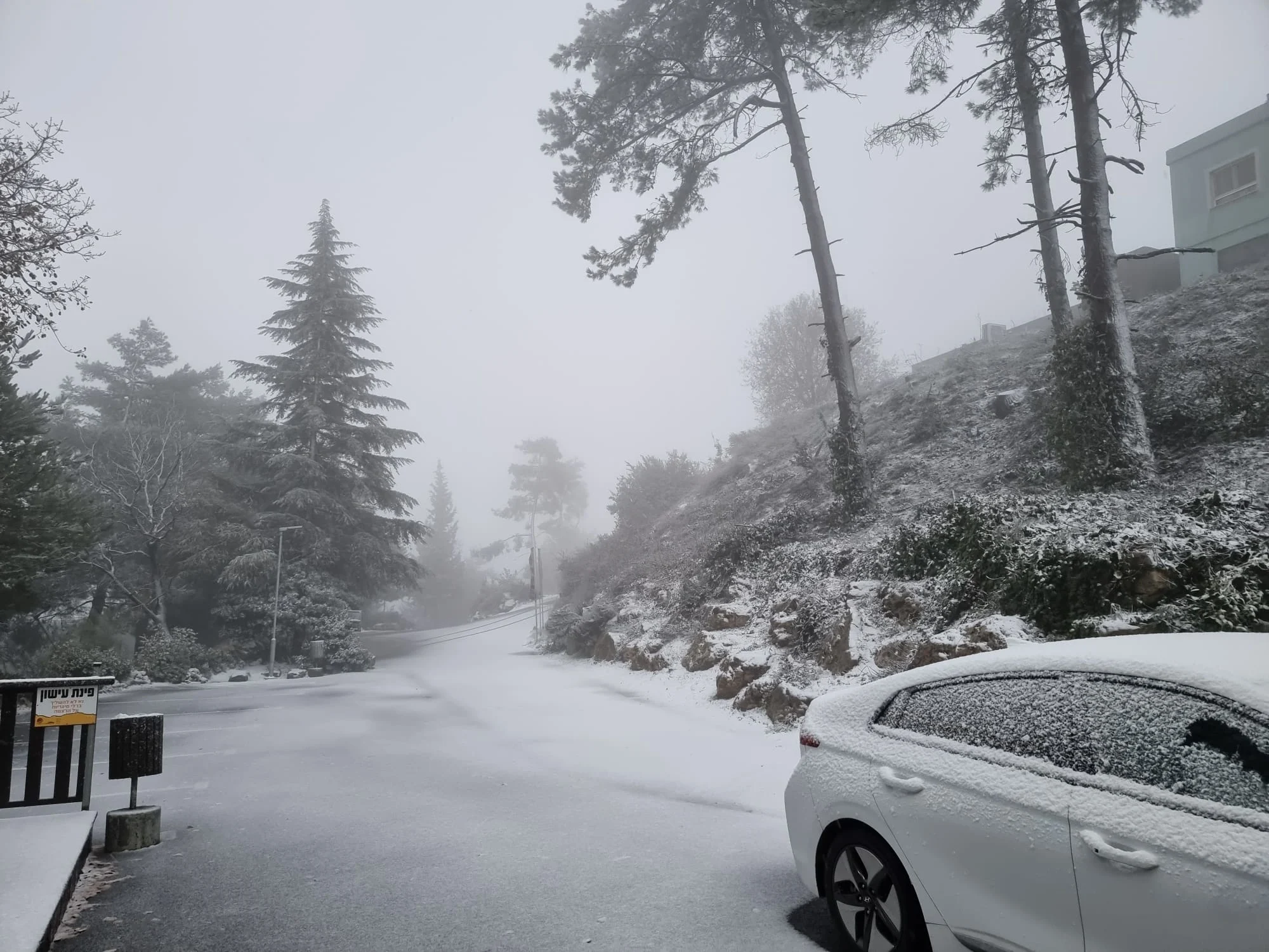 שלג בקיבוץ מנרה שברמת הגולן