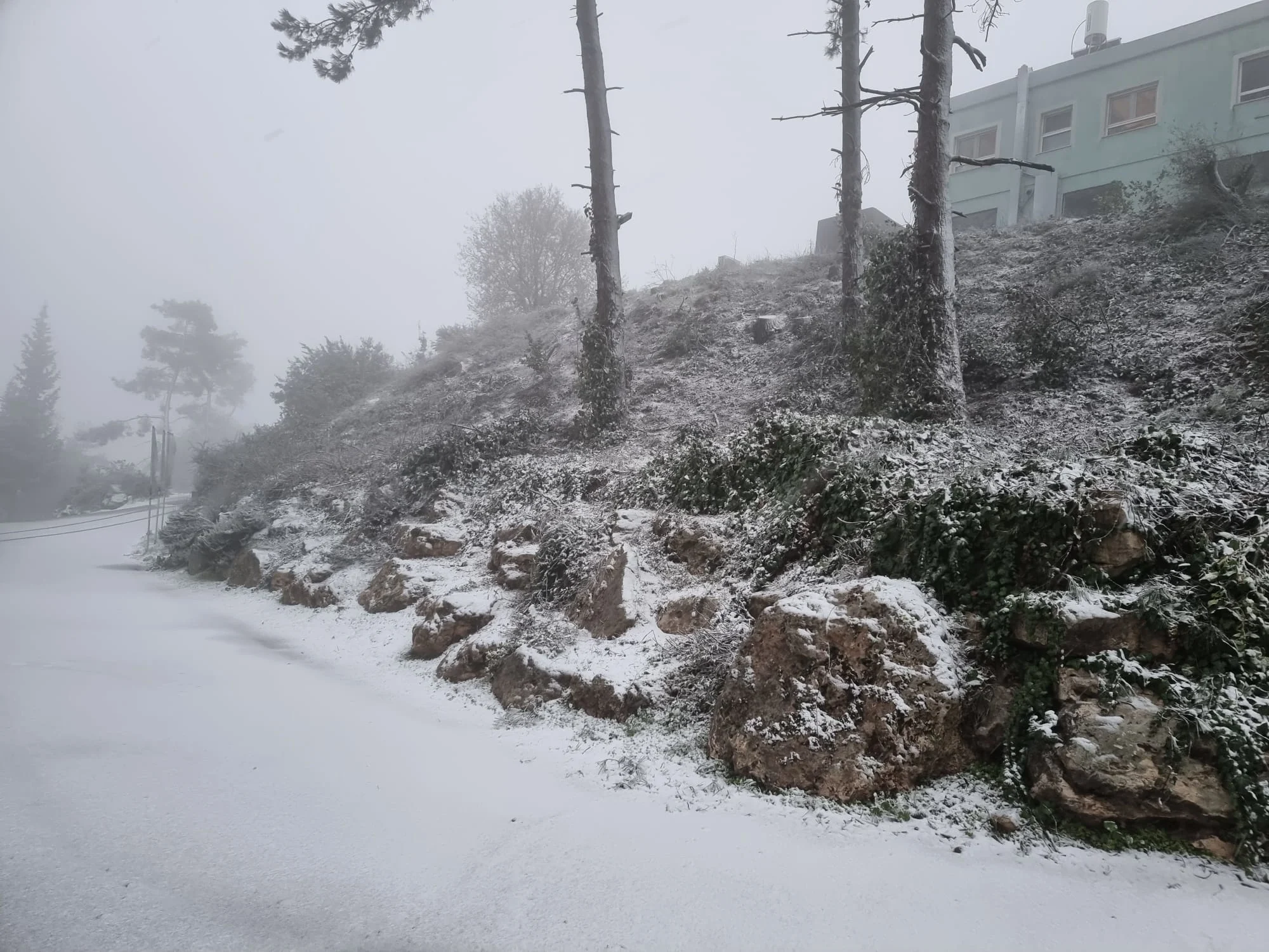 שלג בקיבוץ מנרה שברמת הגולן
