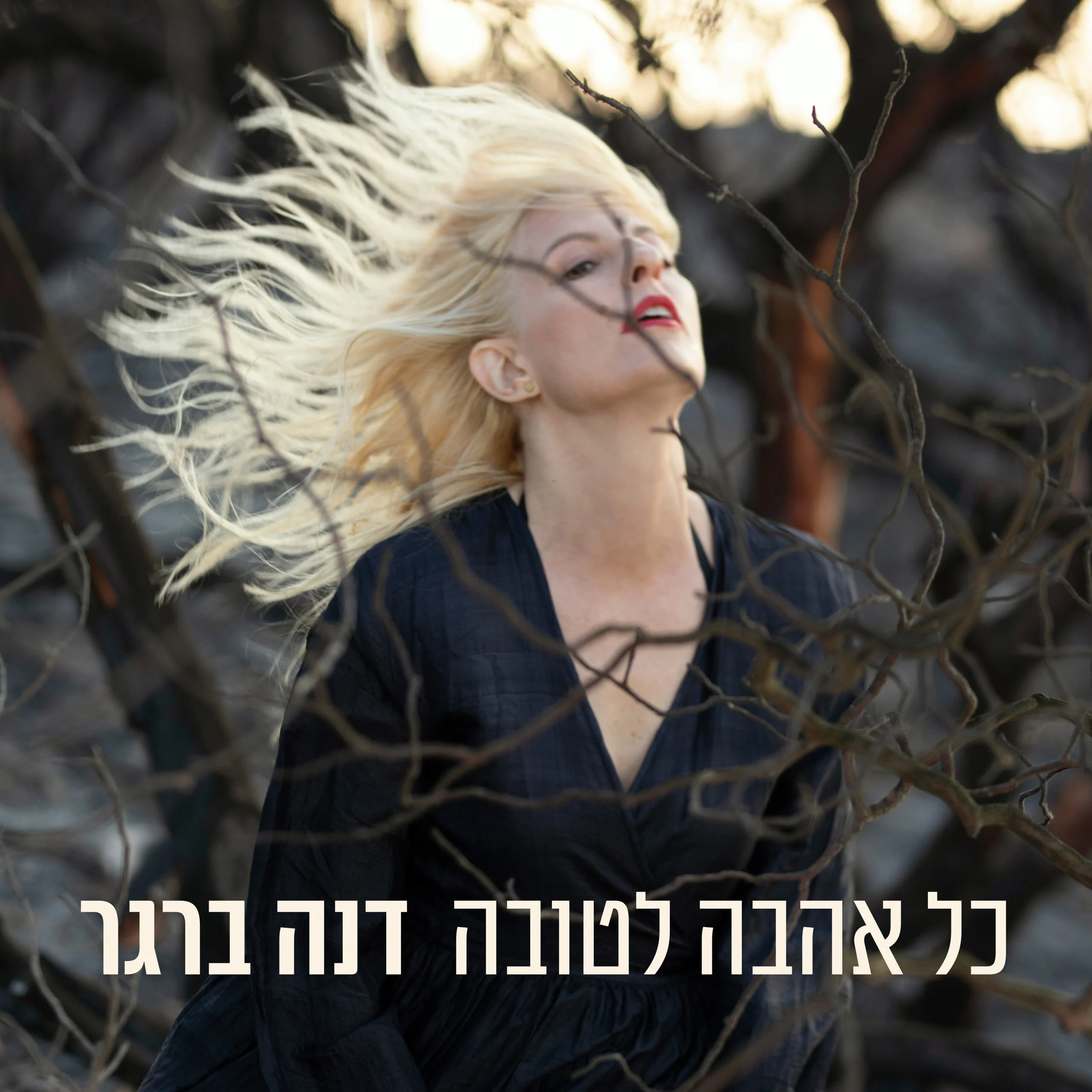 דנה ברגר עטיפת אלבום