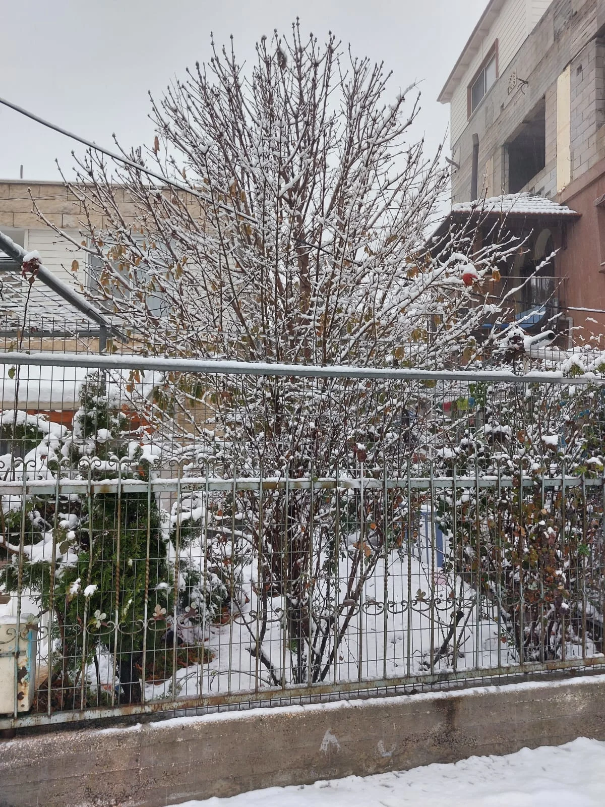 Whatsapp Image 2022 01 26 At 0