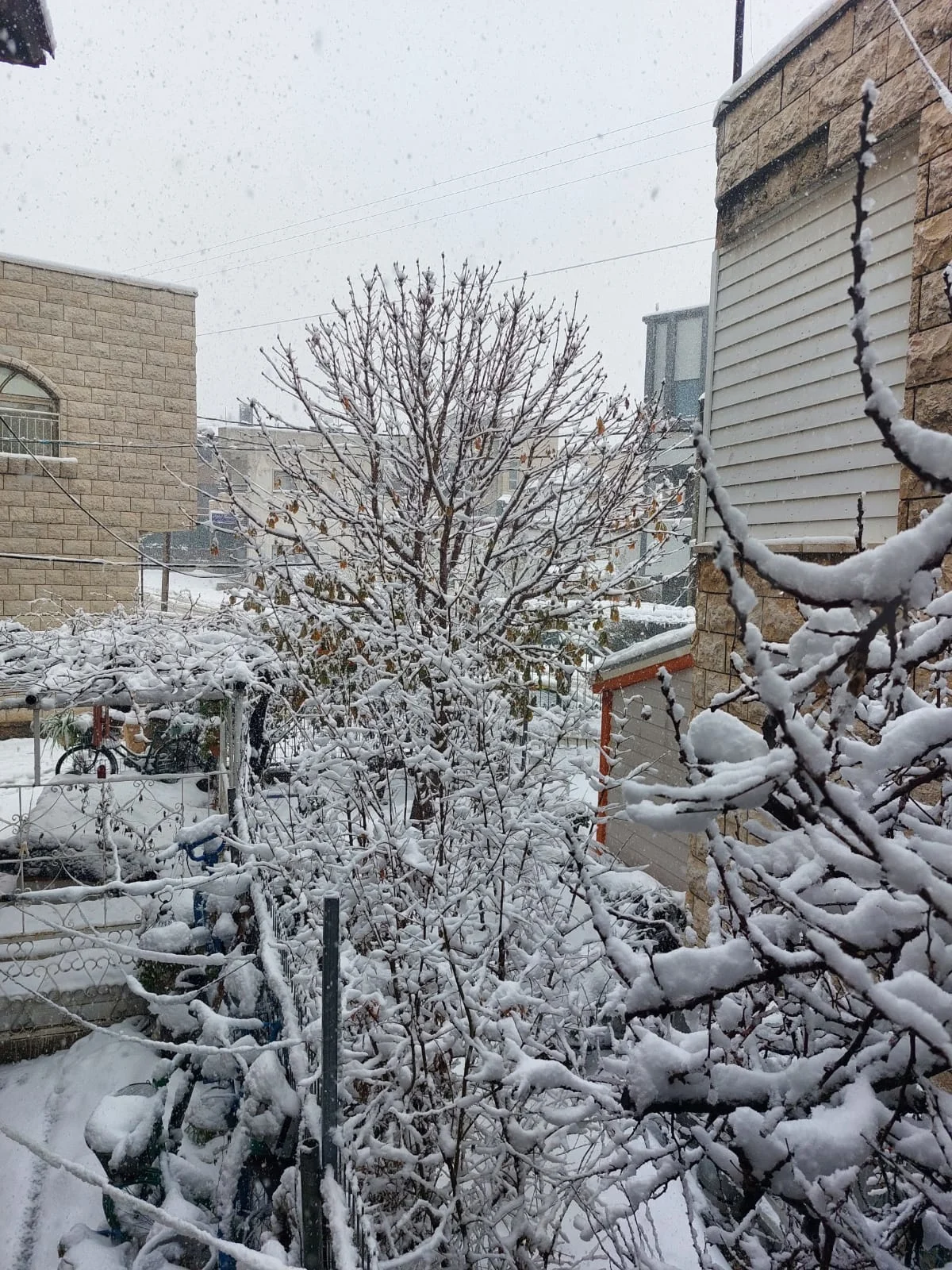 Whatsapp Image 2022 01 26 At 1