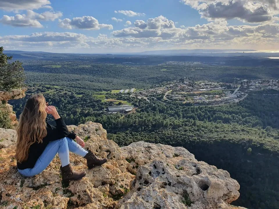 272187640 10227678450291519 62