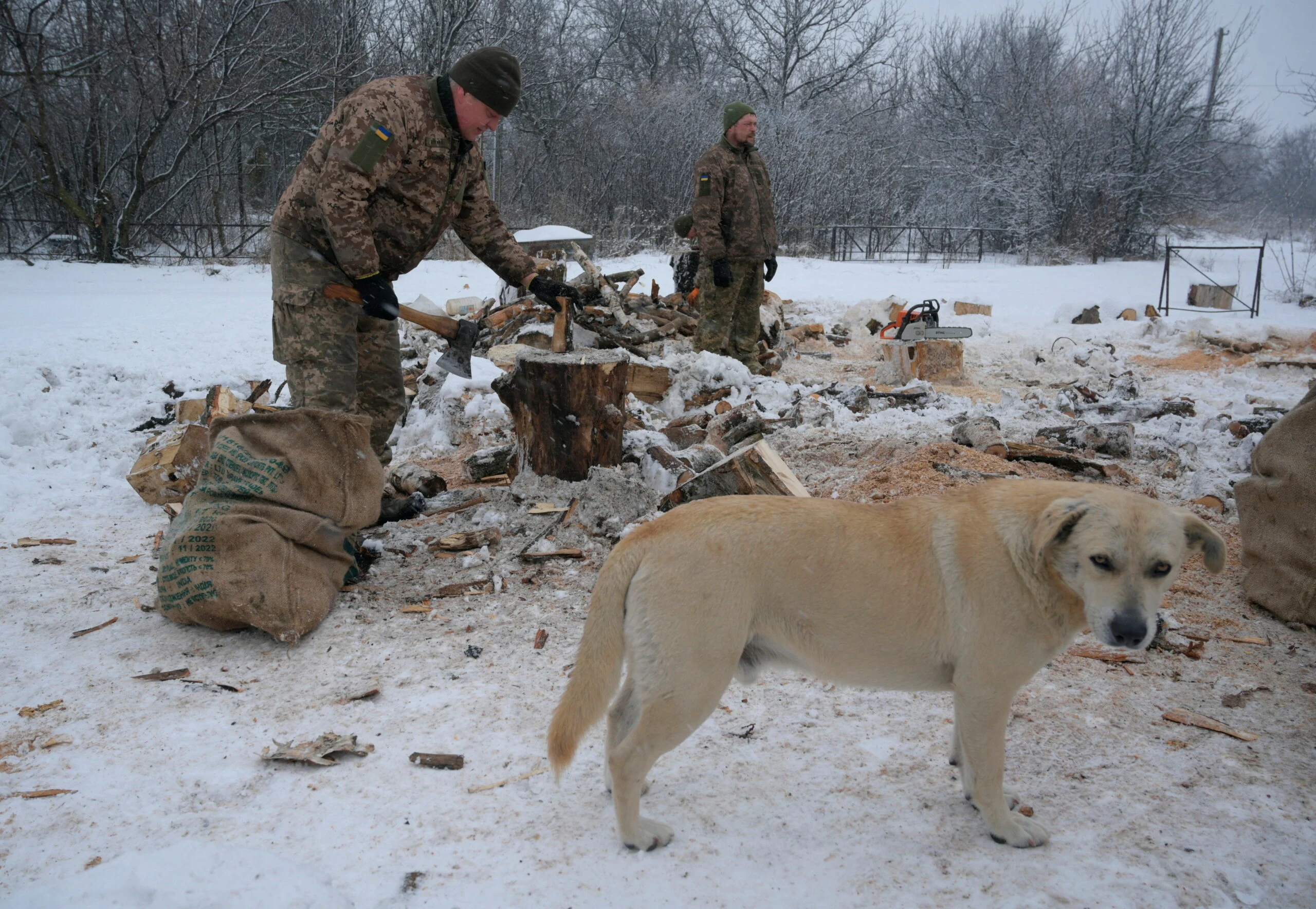 Service Members Of The Ukrainian Armed Forces Chop Wood At Combat Positions In Donetsk Region