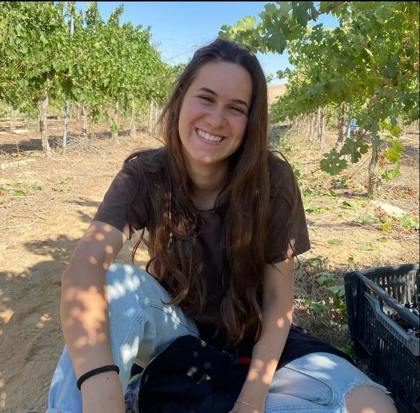 הדר אריאל צור