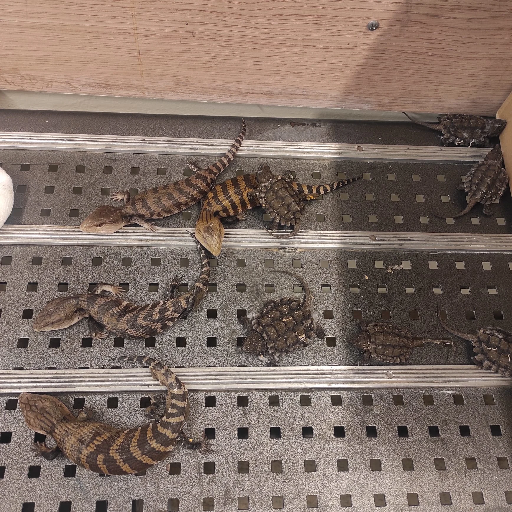 Whatsapp Image 2022 03 21 At 1