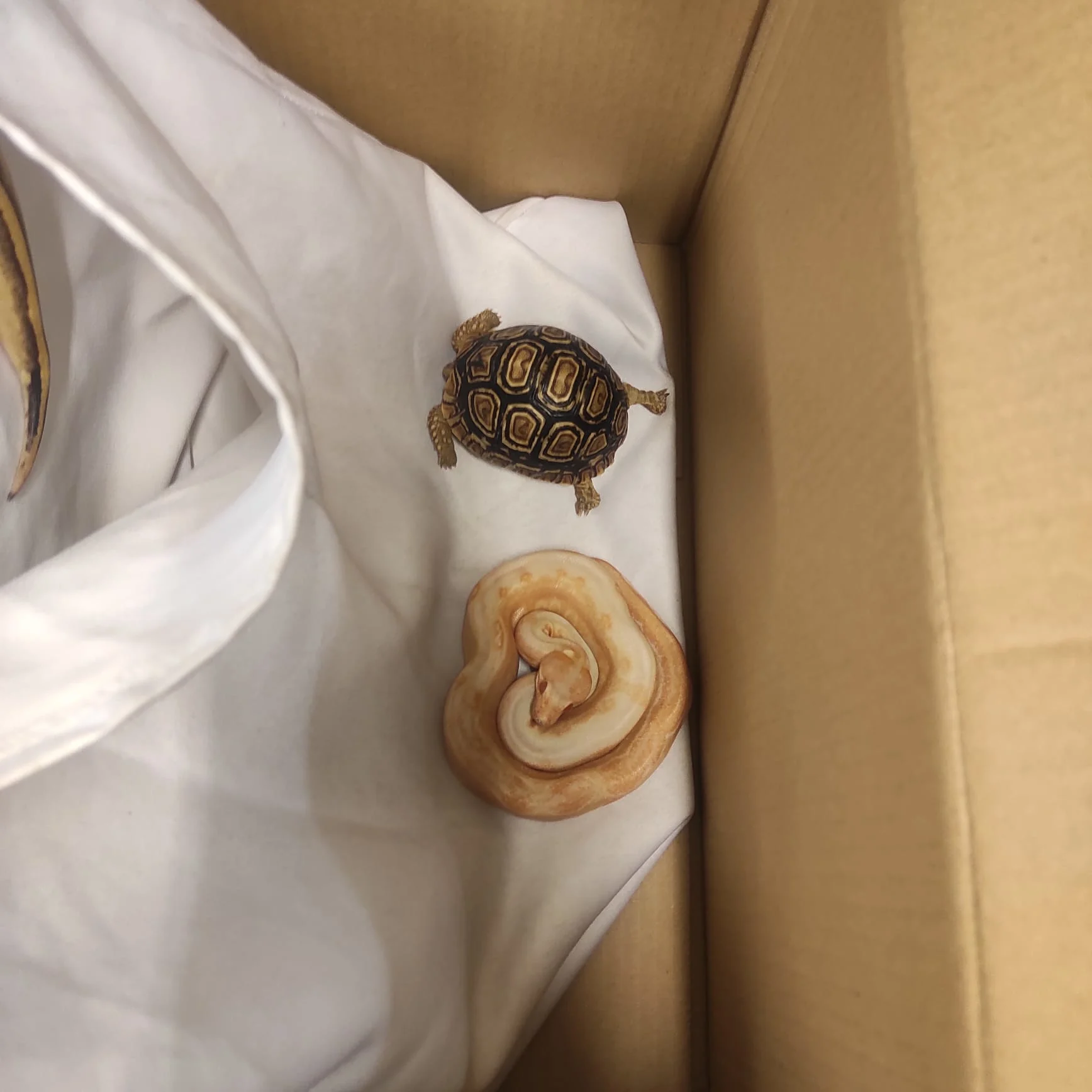 Whatsapp Image 2022 03 21 At 1