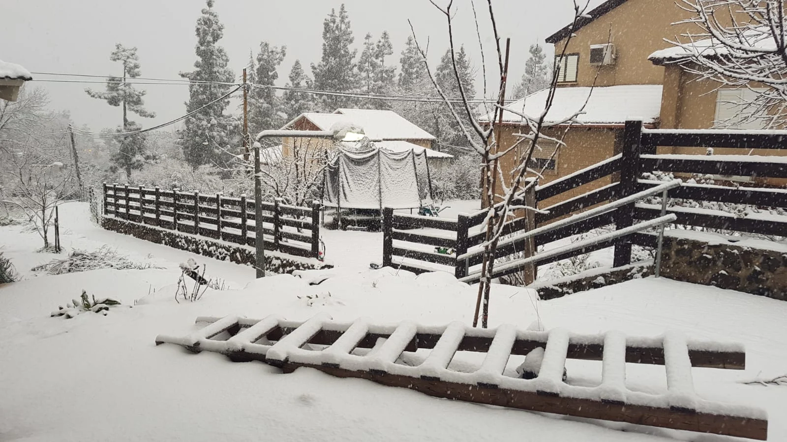 קיבוץ אל רום