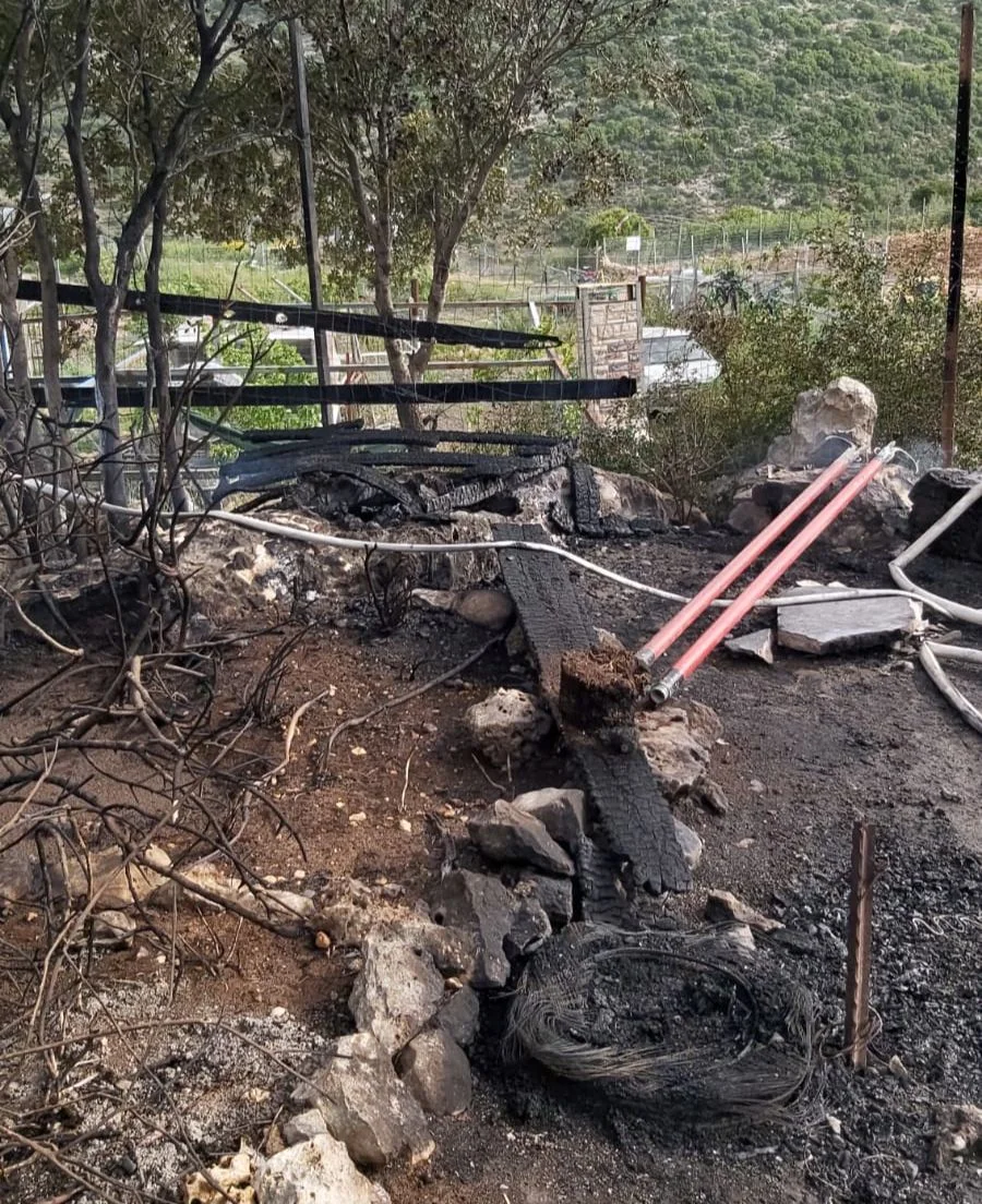 Whatsapp Image 2022 04 18 At 0