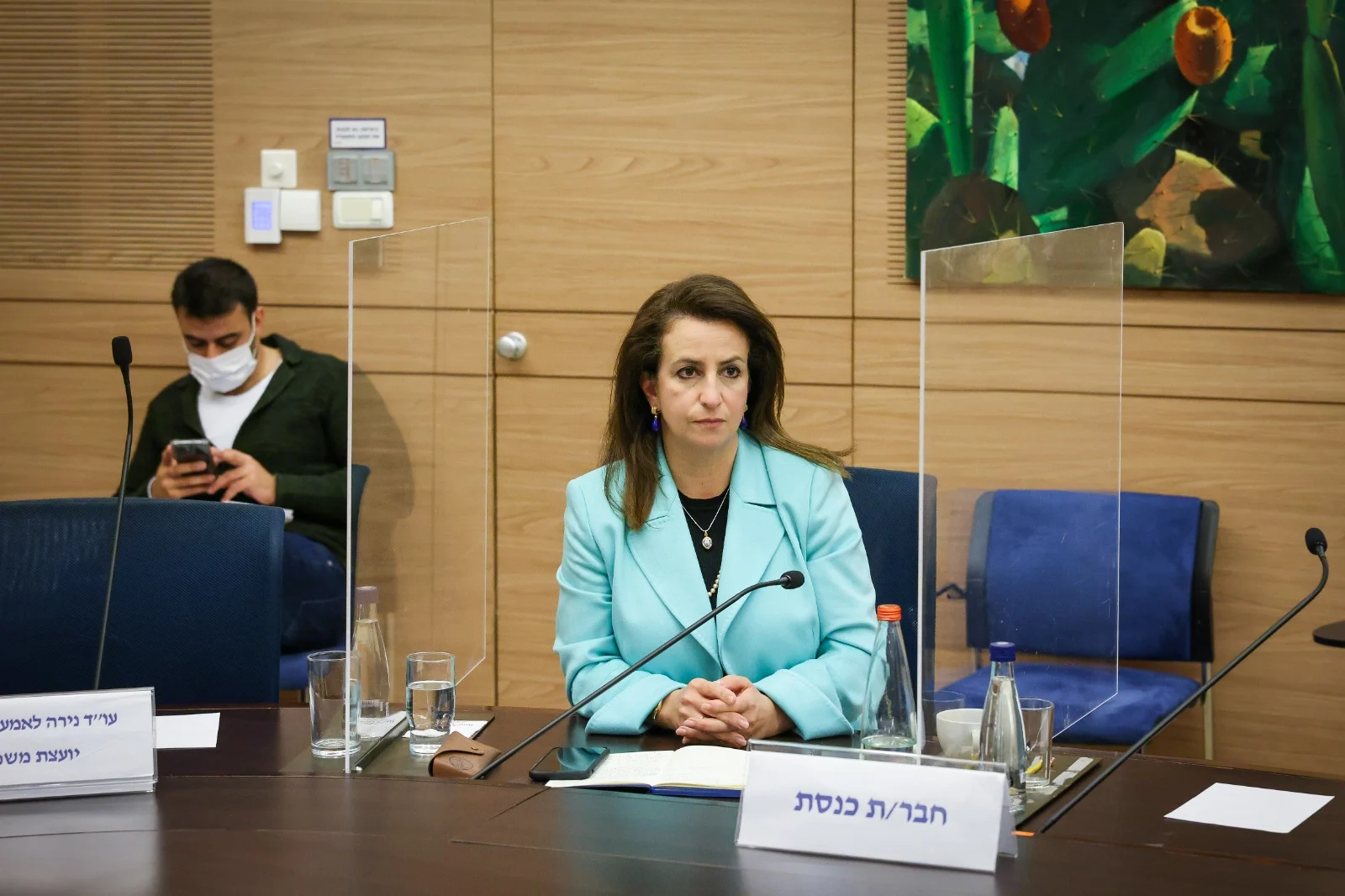 ח''כ ג'ידא רינאווי זועבי