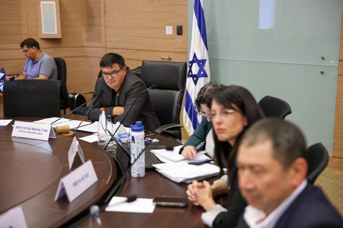 ח''כ מיכאל ביטון בוועדת הכלכלה