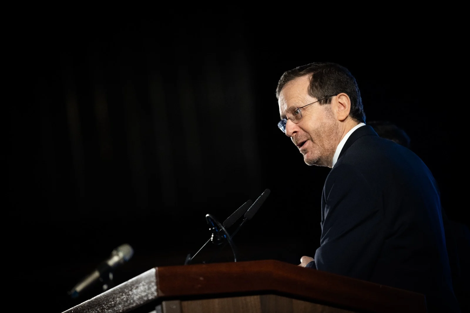 נשיא המדינה יצחק הרצוג