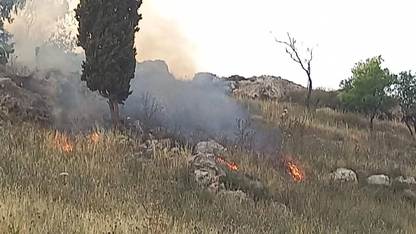 שדה שהוצת באזור הכפר בורקה