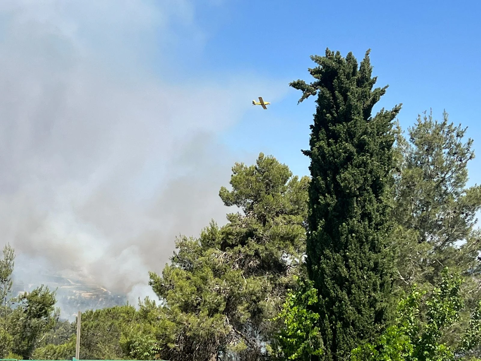 שריפה בהרי ירושלים