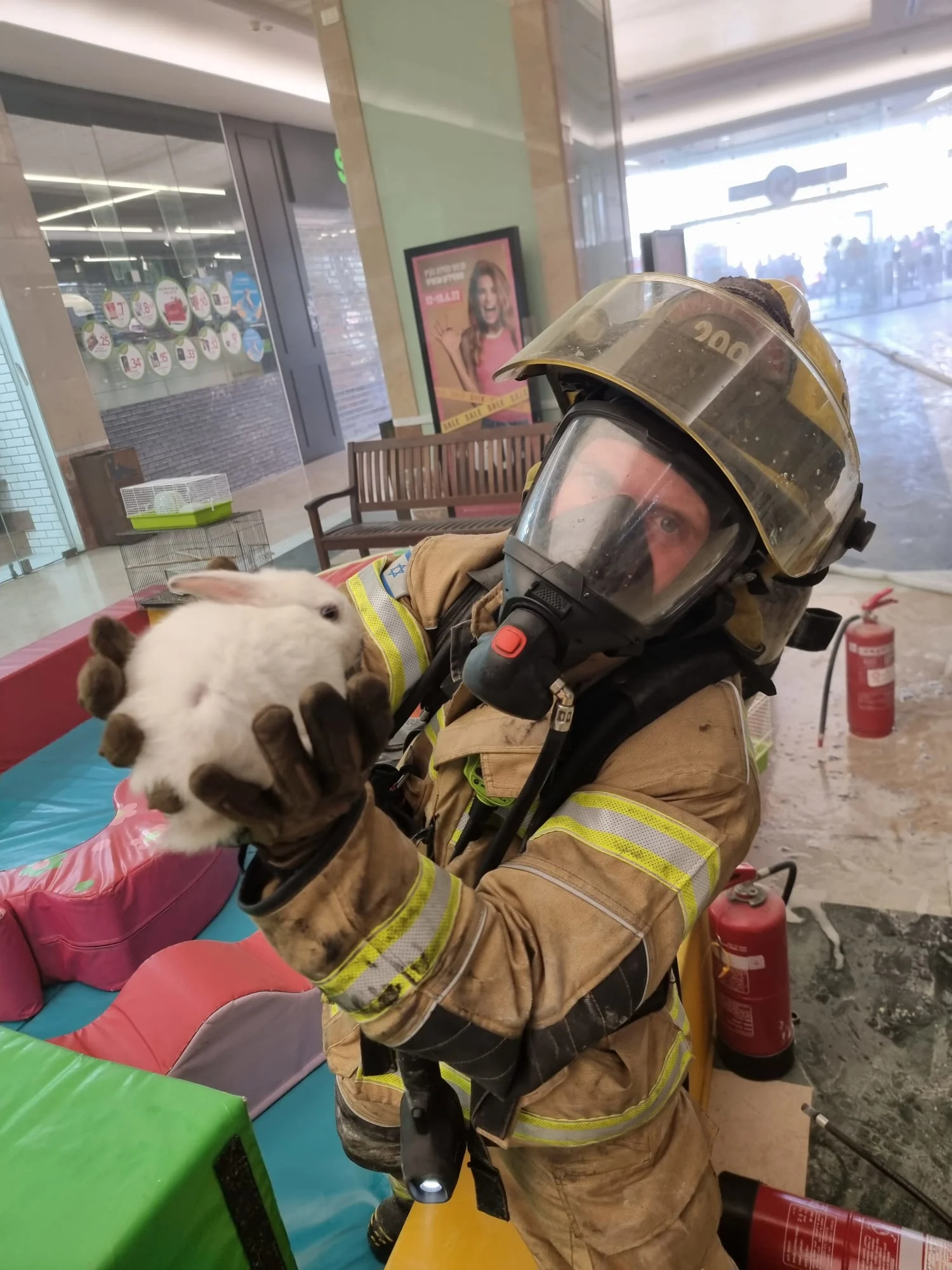 הארנבים שחולצו מהשריפה