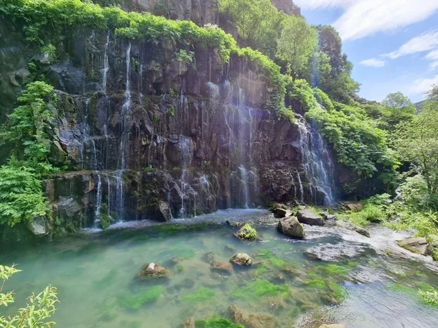 שמורת הטבע הגאורגית