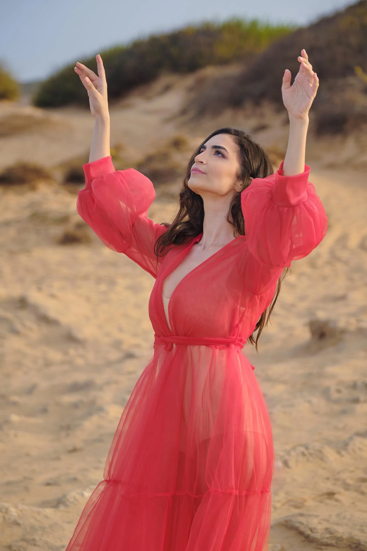 עדי אברהמי