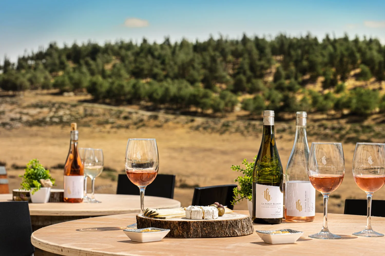 יין וגבינות בחבל יתיר צילום באדיבות יקב לה פורה בלאנש