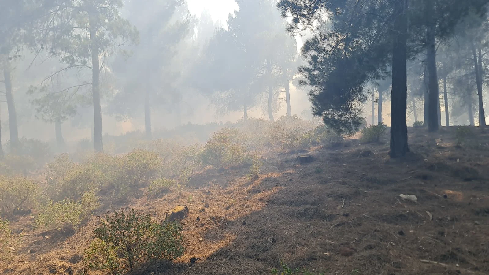 שריפה במנרה