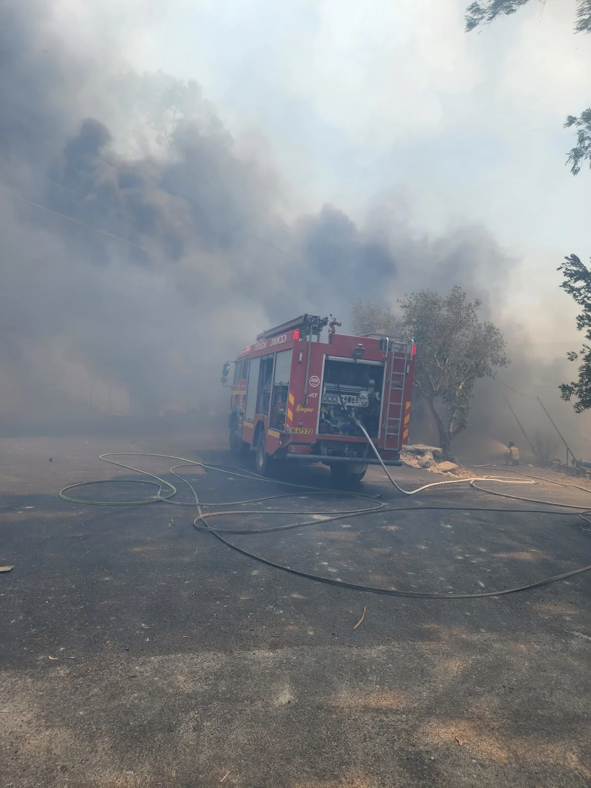שריפה ליד הכנרת