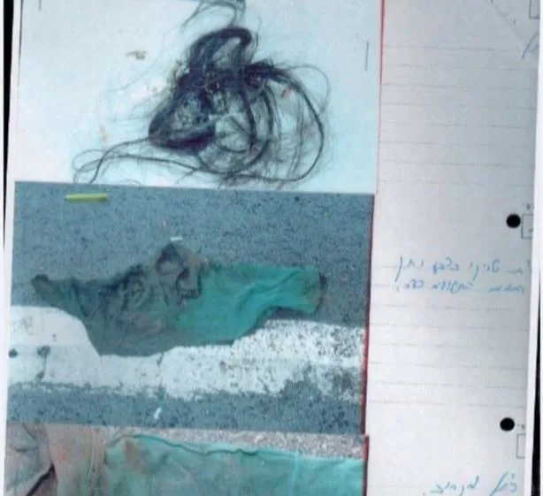 פרופיל השערה הנוכחי שנבדק