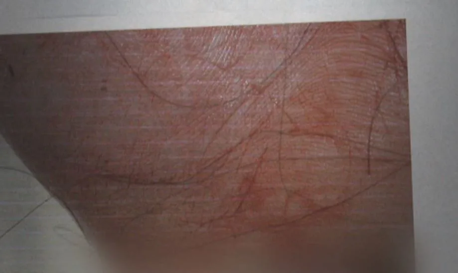 פרופיל השערה הנוכחי שנבדק