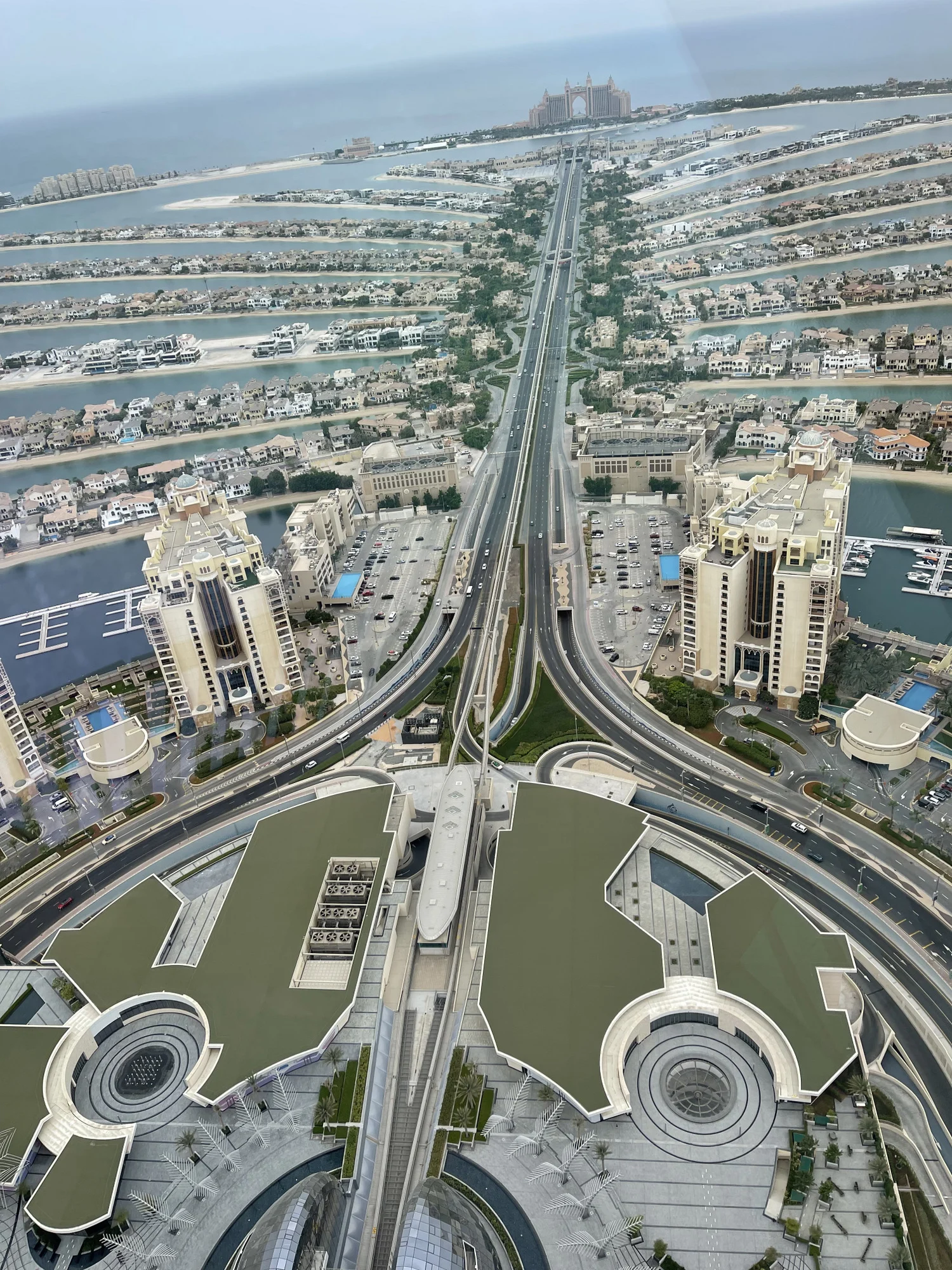 תצפית על אי הדקלים. צילום: גייל זאבי ציבלין