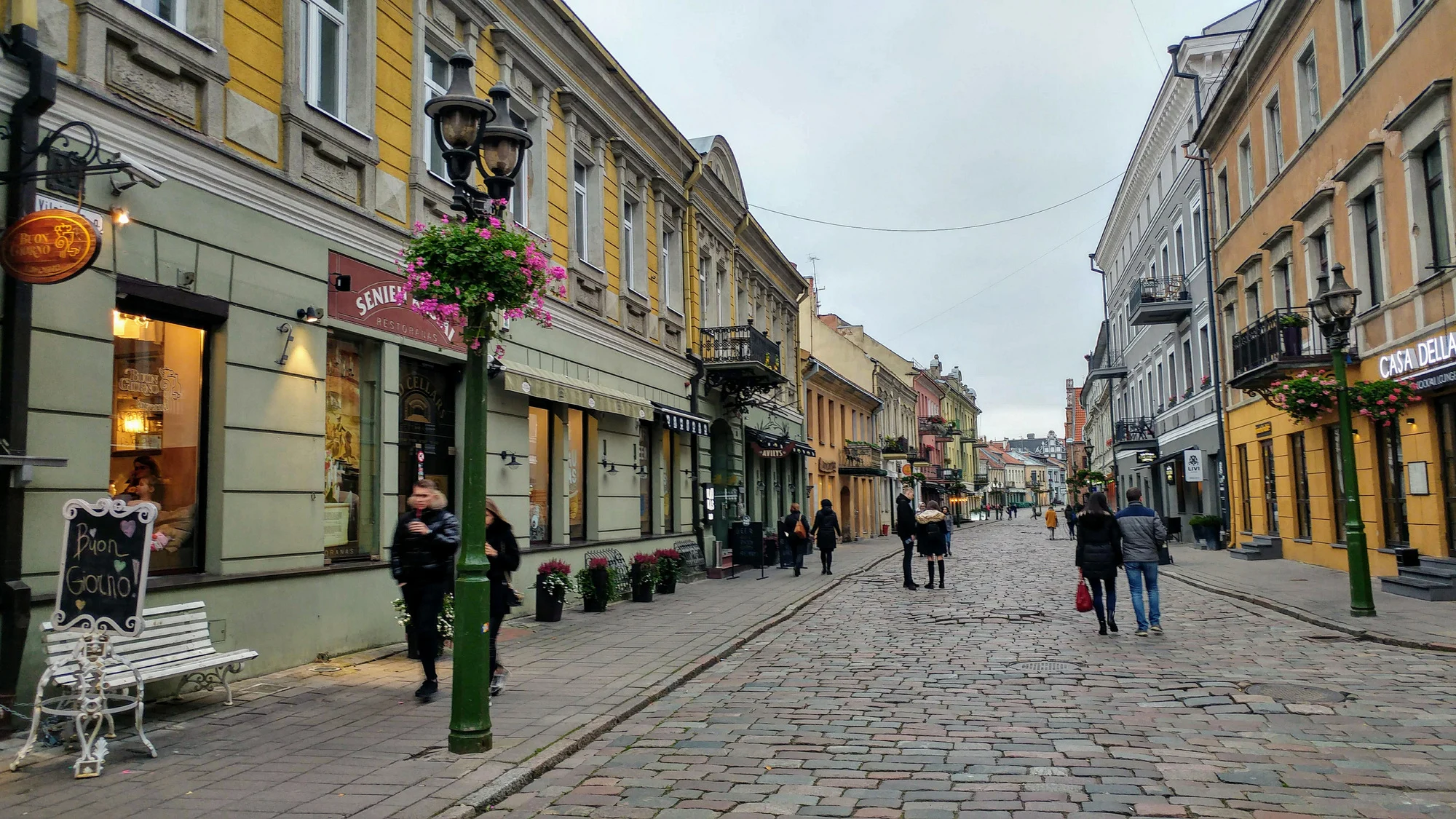 ניפגש בשדירה. צילום: מיכל בן ארי מנור