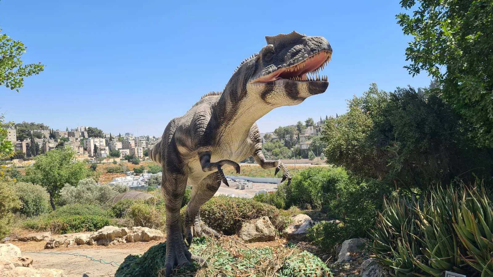 בוטניזאור. צילום תום עמית