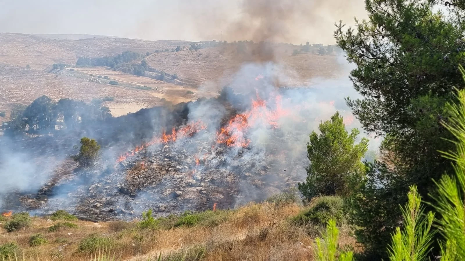 השריפה במתקן אדם