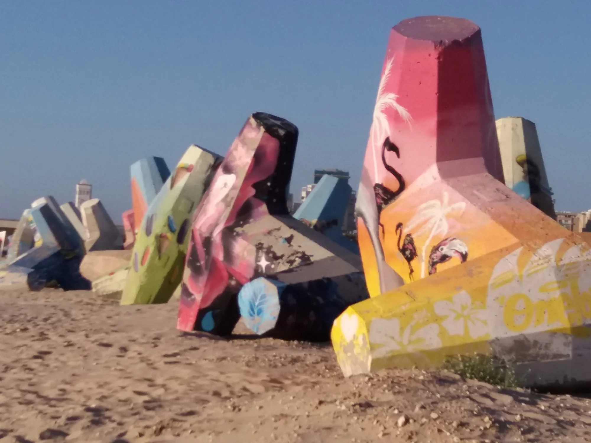 אמנות חופים באשדוד. צילום: גילי מצא