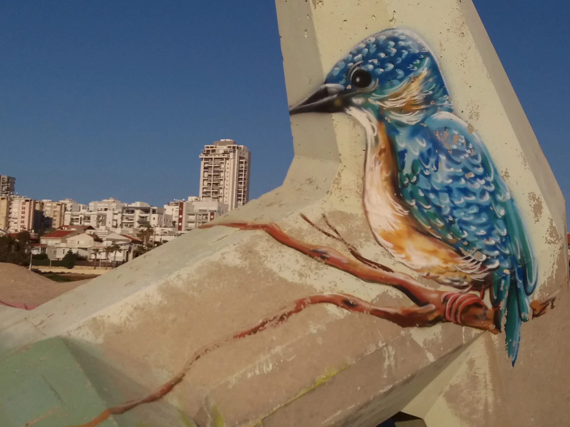 אשדוד עיר אמנות. צילום: גילי מצא