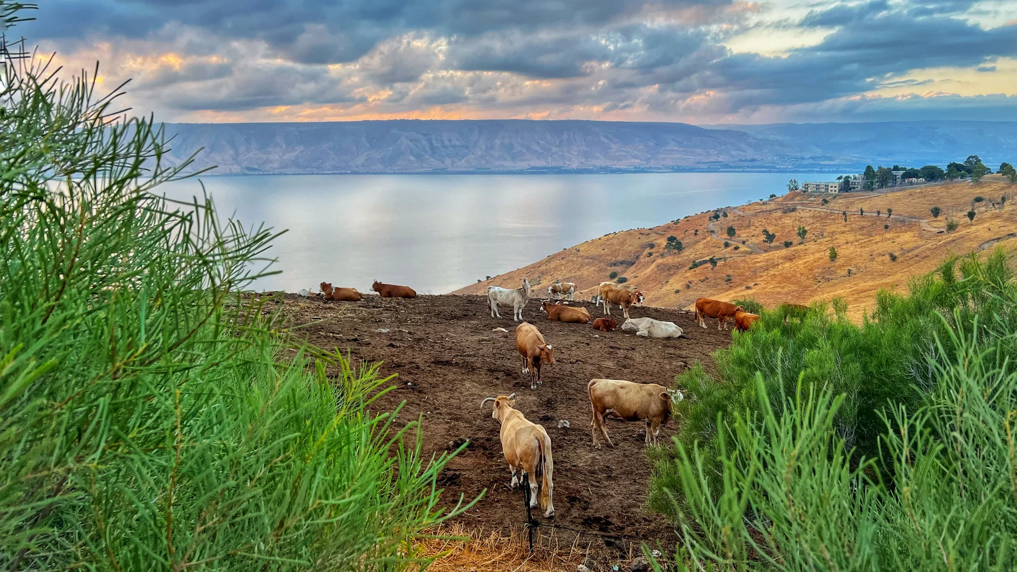 צילום: יפעת חן כהן