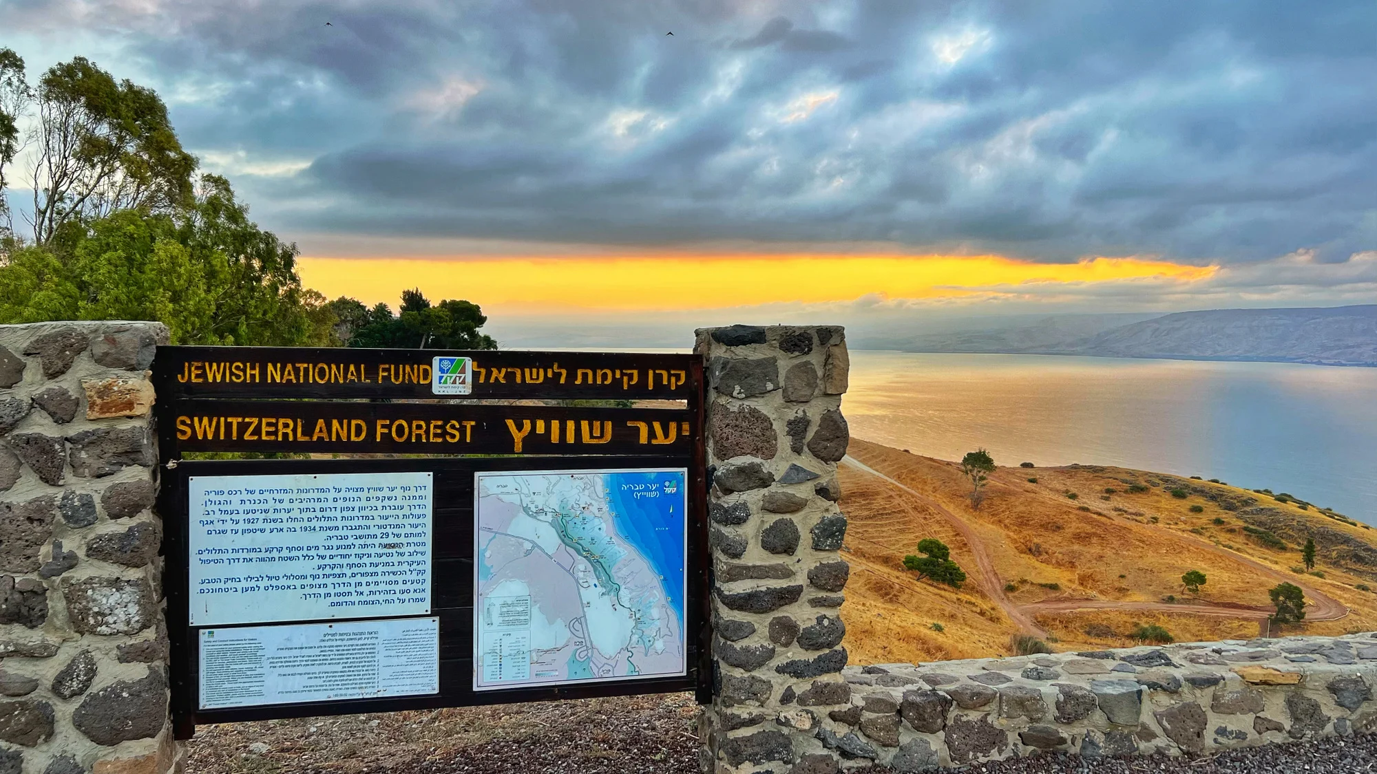 יער שוויץ. צילום: יפעת חן כהן