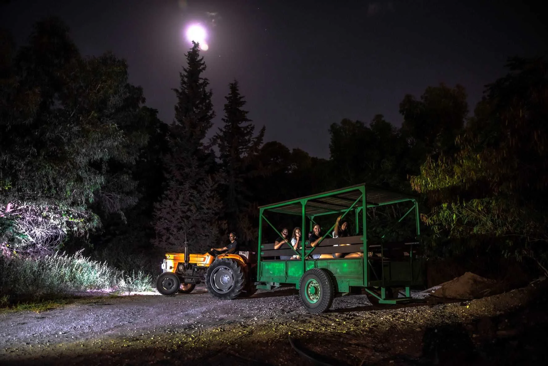 טַל מִלְּמַטָּה וּלְבָנָה מֵעַל. צילום: אבי חיימוביץ