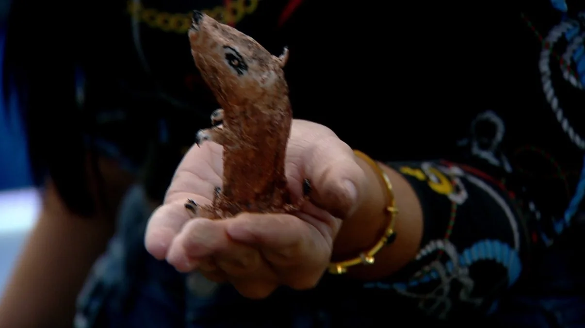 האח הגדול עונה 4 | טימון