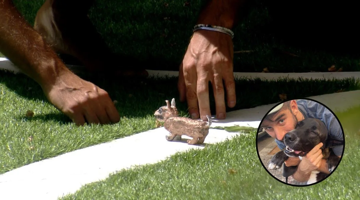 לוקי הכלב של שחף, אילנה, האח הגדול עונה 4