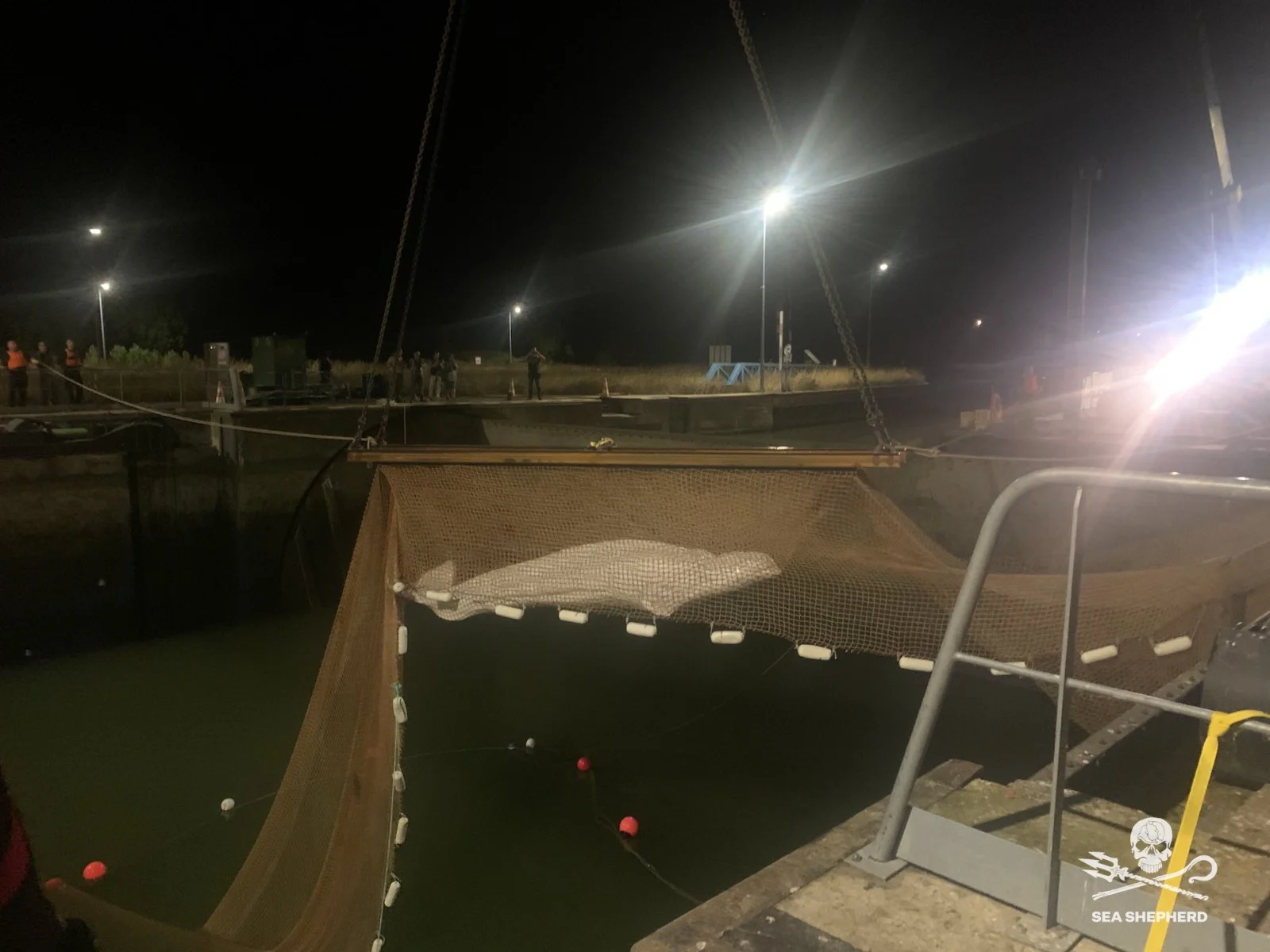 מבצע החילוץ שאירע לפנות בוקר