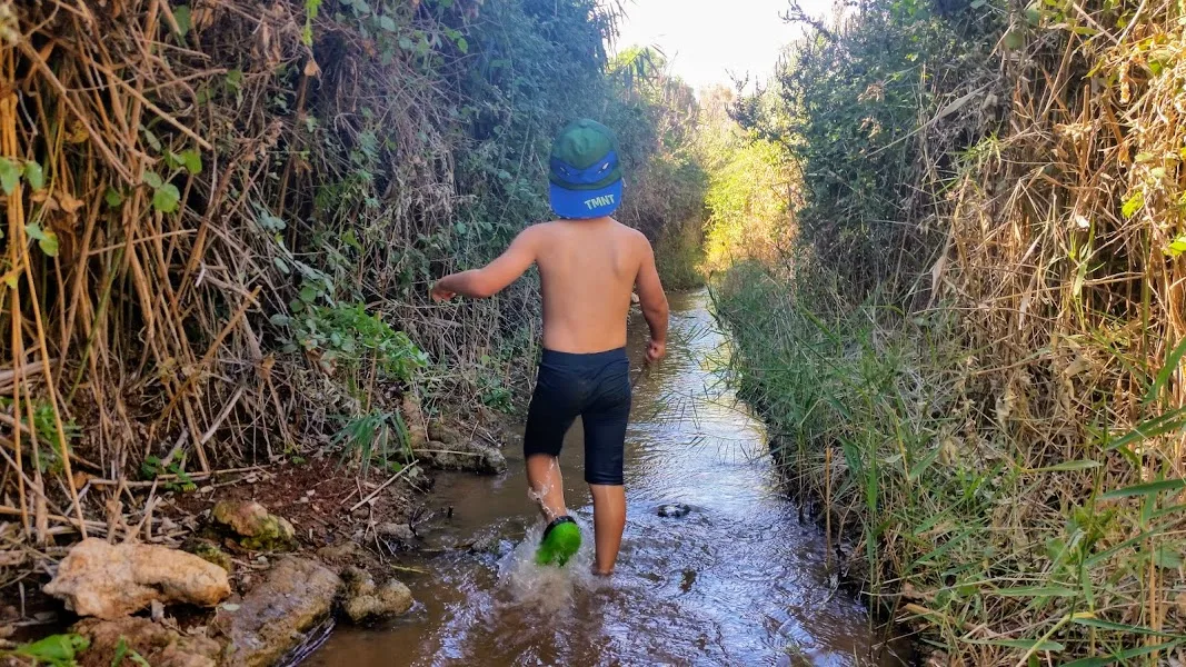 עין שוקק. צילום: עינב לנדאו