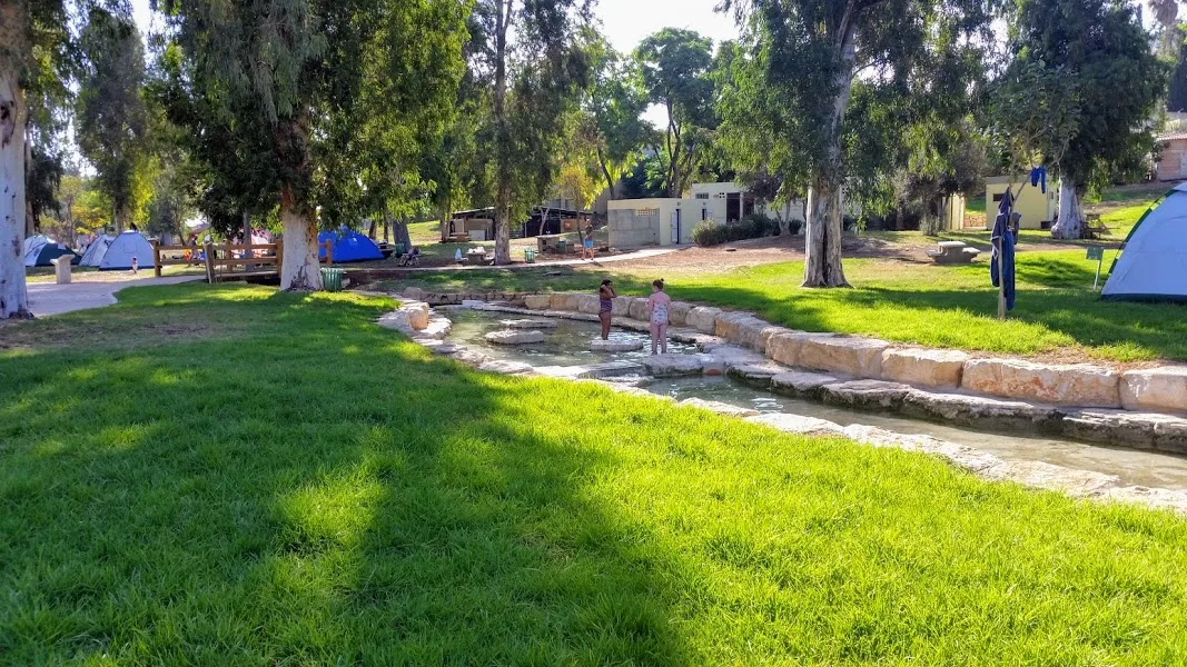 מעיין חרוד. צילום: עינב לנדאו