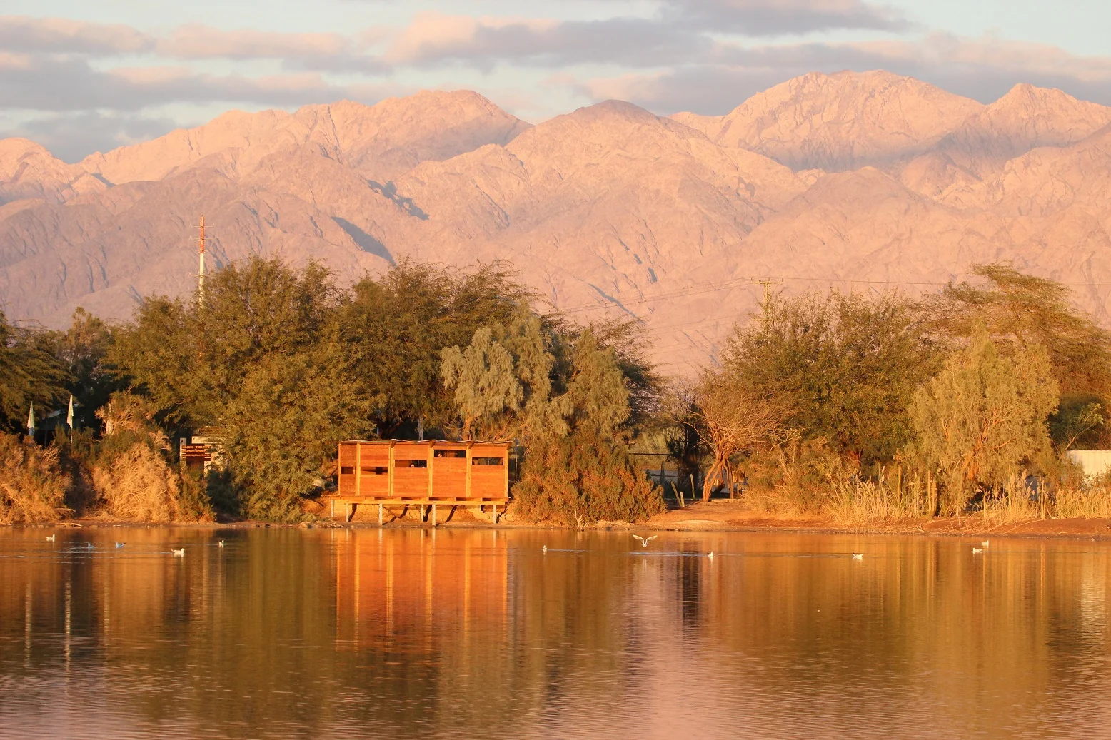 פארק הצפרות - צילם נועם ויס