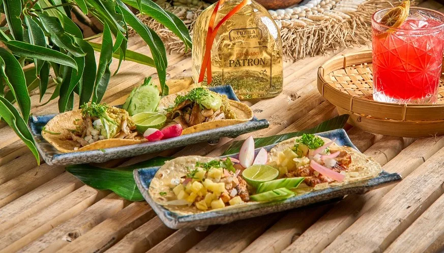 Ginsburg Akkerman 8.8.22 32