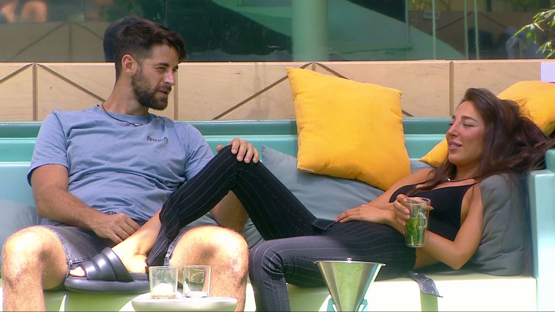 טליה, שחף, האח הגדול עונה 4