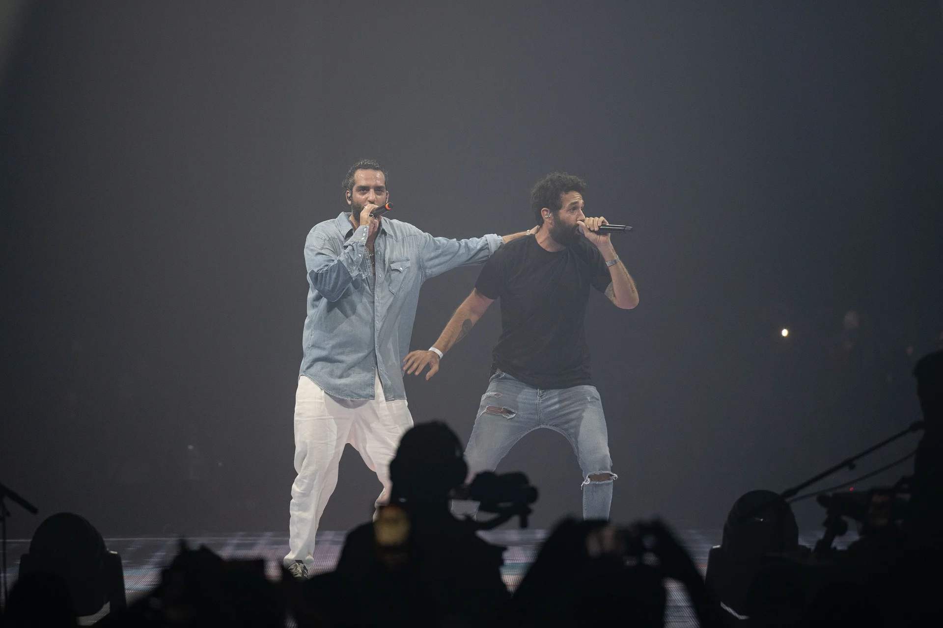 טונה ורביד פלוטניק