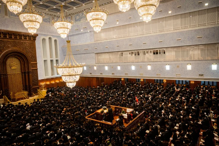 לימודי תורה בחסידות ''בעלז''