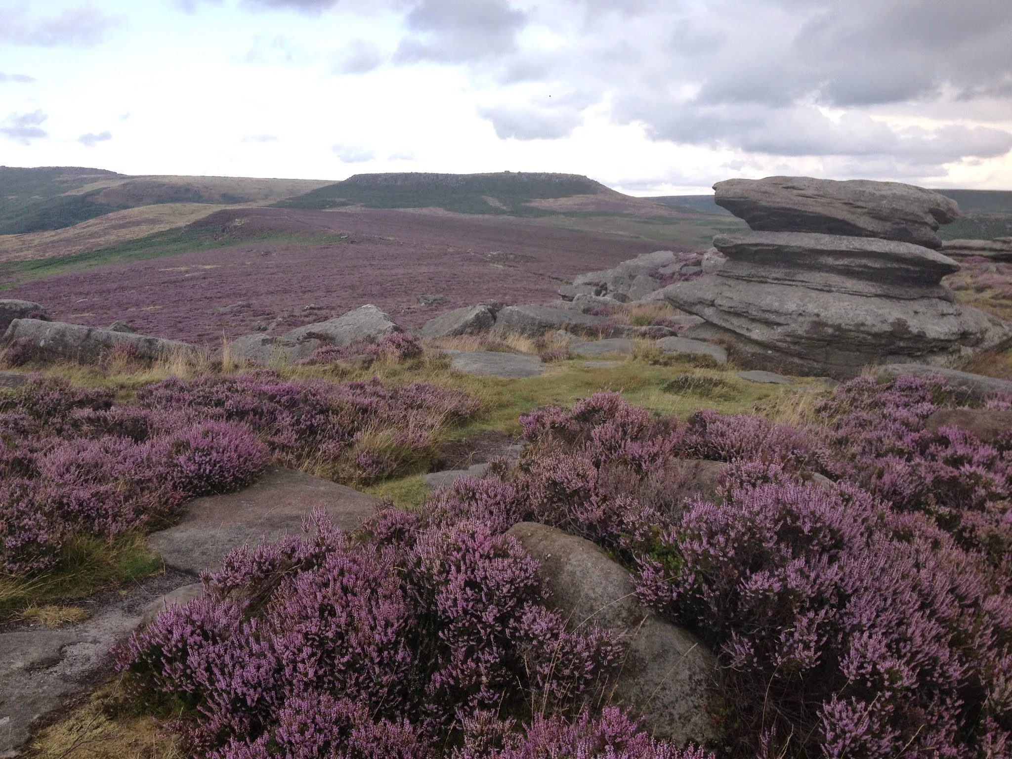 הקצה המוזר בפיק דיסטרקט