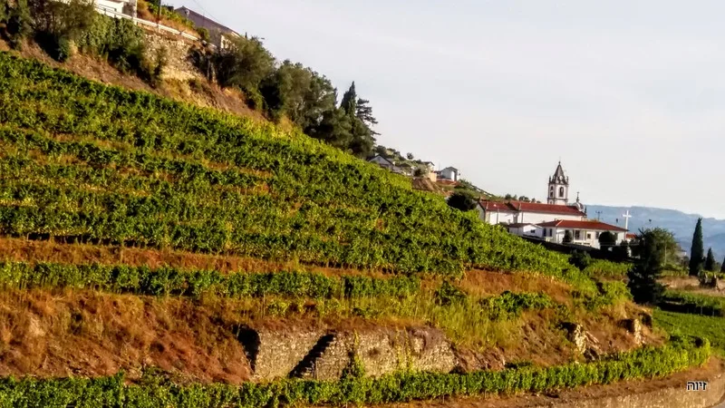 עמק הדורו פורטוגל.צילום: זיוה רענן