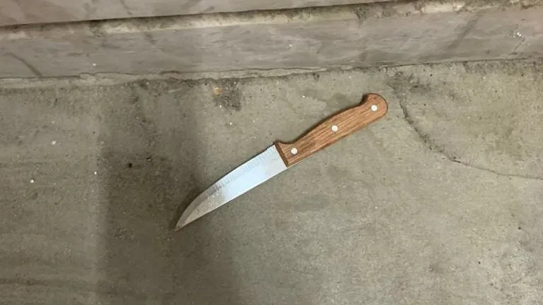 הסכין ששימשה את המחבל