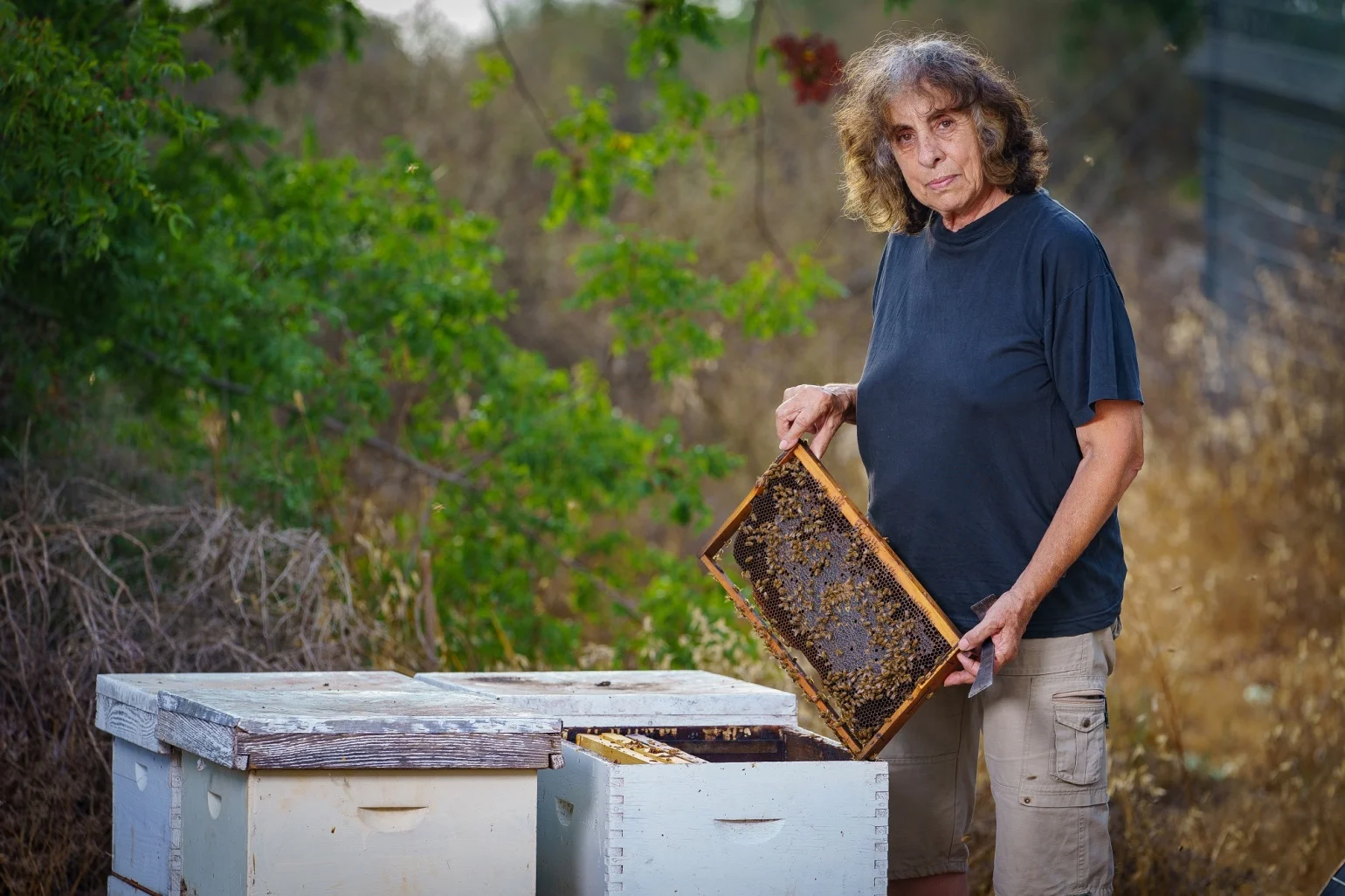 דבוראית נגה ראובן