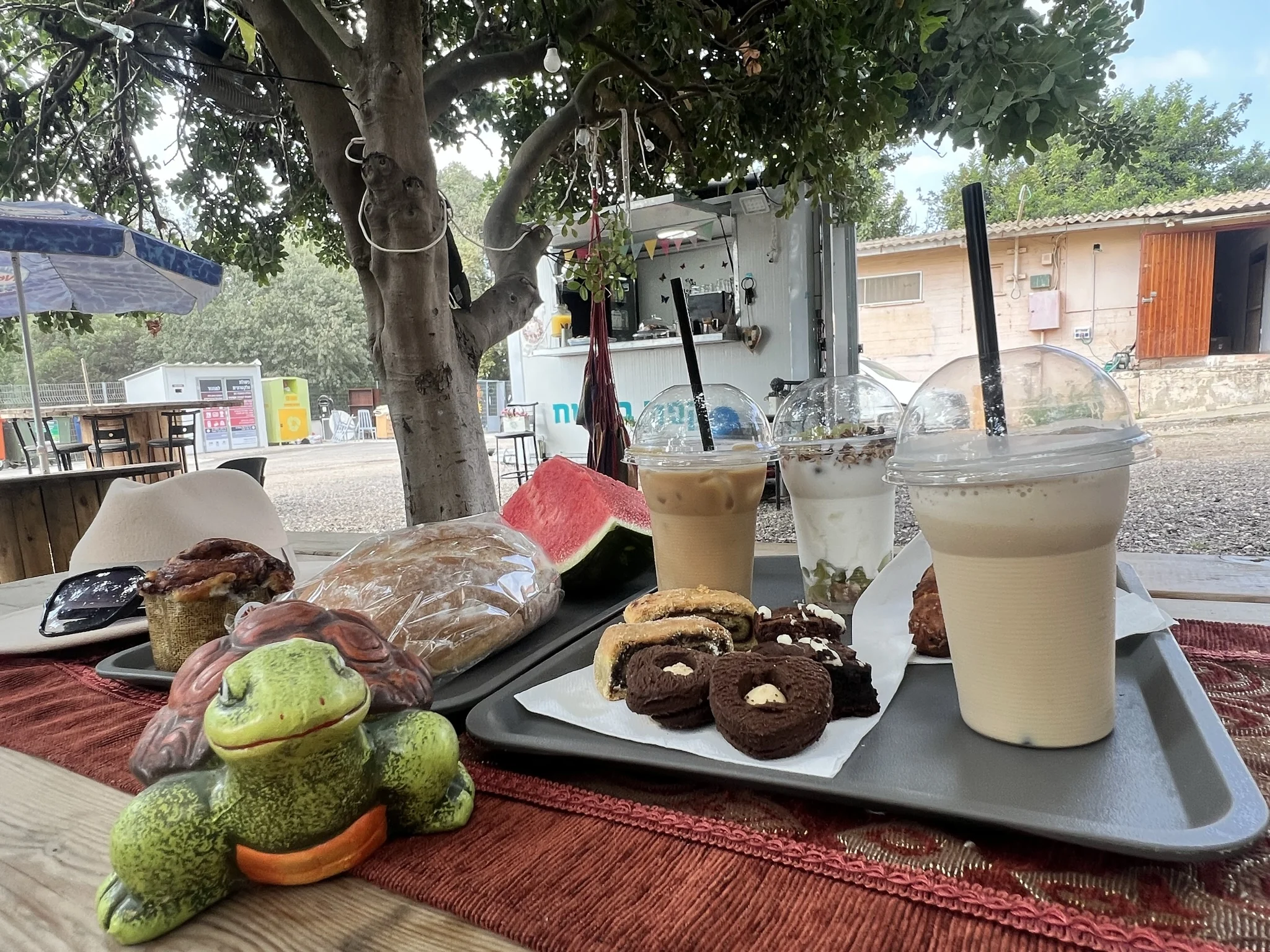 קפה בשטח. צילום אבנית סטרולוב